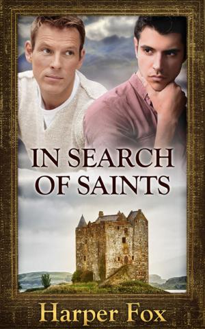 Cover of the book In Search of Saints by Paul Johnson