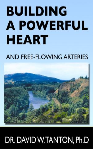 Cover of the book Building a Powerful Heart and Free-Flowing Arteries by Chris Klein