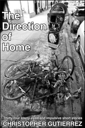 bigCover of the book The Direction of Home by 