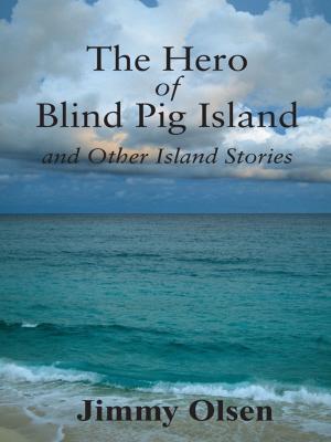 bigCover of the book The Hero of Blind Pig Island and Other Island Stories by 