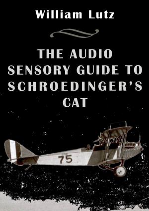 Book cover of The Audio Sensory Guide to Schroedinger's Cat