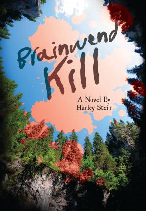 Cover of the book Brainwend Kill by Ryan Sinclair