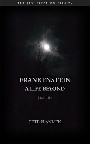Cover of the book Frankenstein A Life Beyond by Jeremy Michelson