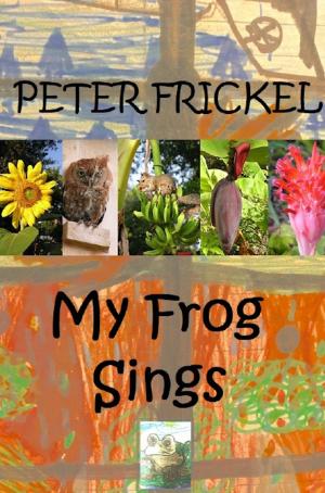 Cover of the book My Frog Sings by Mr. Amari Soul