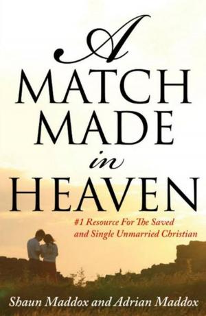 Book cover of A Match Made In Heaven