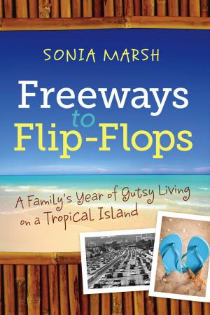 Cover of the book Freeways to Flip-Flops by Theresa Zollicoffer