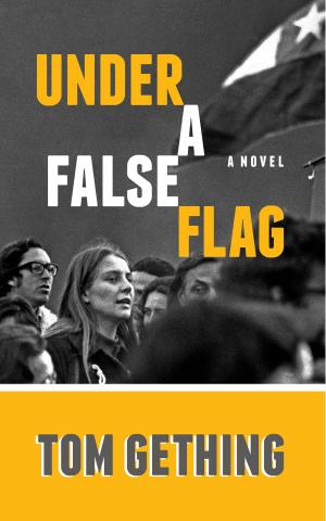 Cover of the book Under a False Flag by Ray Sullivan