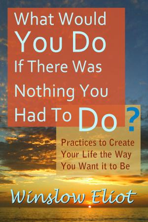 Book cover of What Would You Do If There Was Nothing You Had To Do?