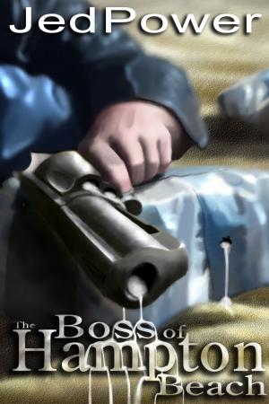Cover of the book The Boss of Hampton Beach by Nicole Fitton