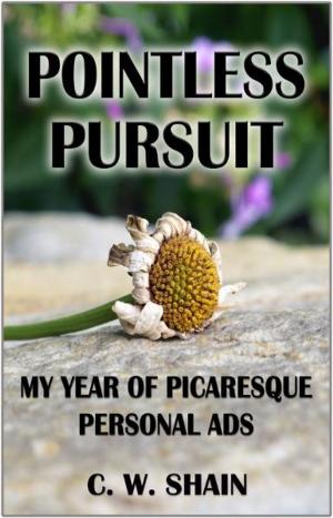 Book cover of Pointless Pursuit: My Year of Picaresque Personal Ads