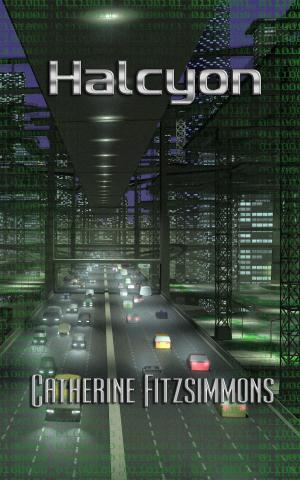 Cover of the book Halcyon by Tim Povhe