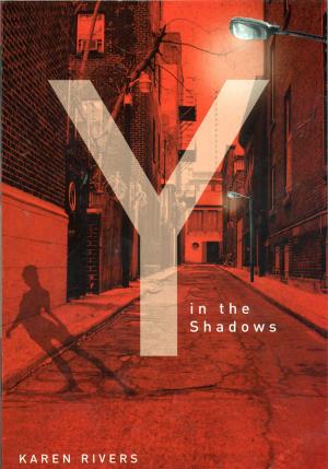 Book cover of Y in the Shadows