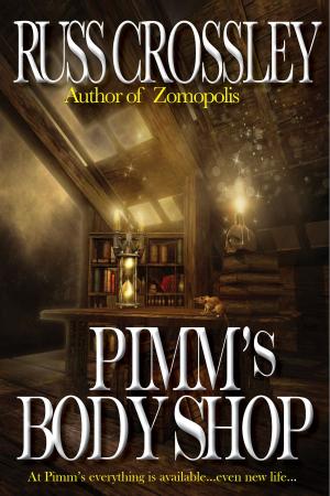 Cover of the book Pimm's Body Shop by Rita Schulz