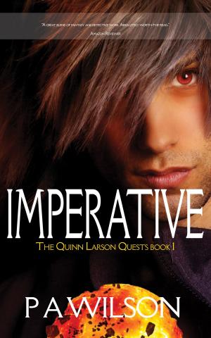 Cover of the book Imperative, Book 1 of The Quinn Larson Quests by Béatrice Mopal