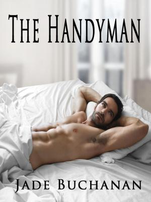 Cover of the book The Handyman by Peter Budetti