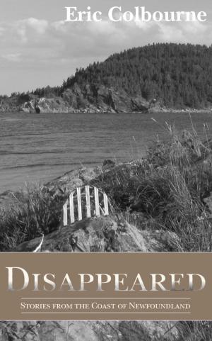 Cover of the book Disappeared: Stories from the Coast of Newfoundland by Fay Risner