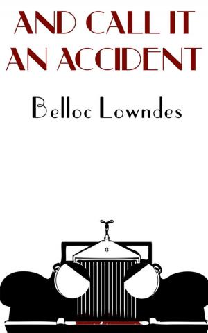 Cover of the book And Call It an Accident by Elizabeth Daly