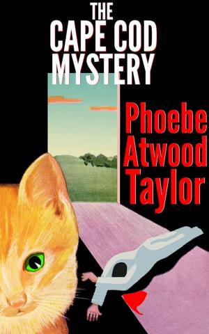 Cover of the book The Cape Cod Mystery by Phoebe Atwood Taylor