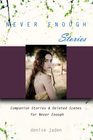 Cover of the book Never Enough Stories by Damián Fraticelli