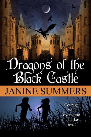 Cover of the book The Dragons of the Black Castle by Sean Capelle