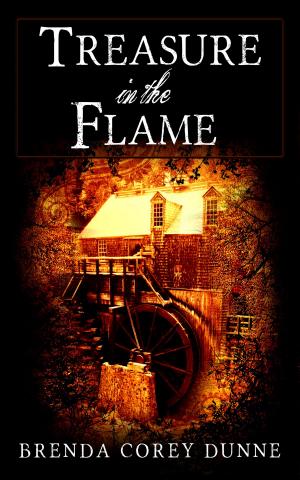 Cover of the book Treasure in the Flame by Chris Wooding