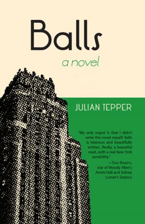 Cover of the book Balls: A Novel by Burt Weissbourd