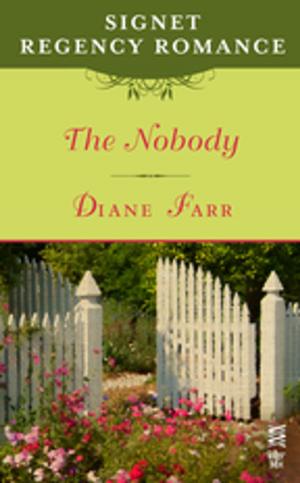 Cover of the book The Nobody by Sara Paretsky