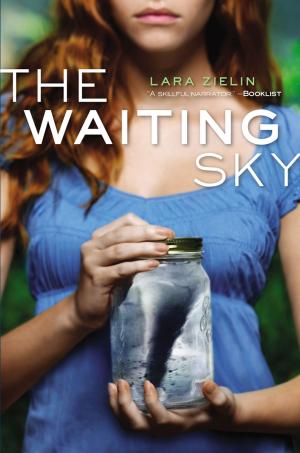 Cover of the book The Waiting Sky by Sophy Henn