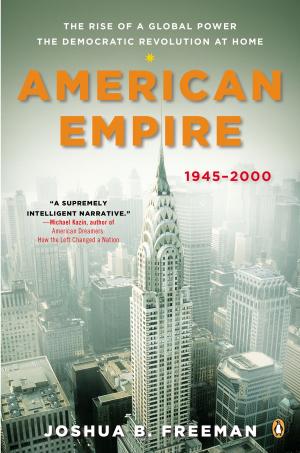 Cover of the book American Empire by Nick Petrie