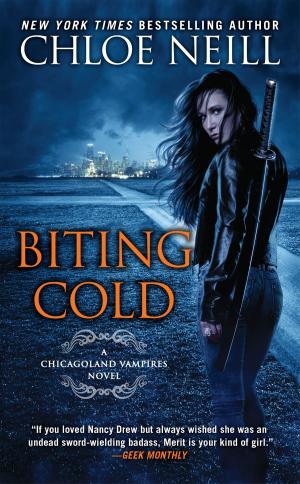 Cover of the book Biting Cold by Kevin Dann