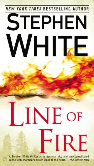 Cover of the book Line of Fire by Victoria Schwimley
