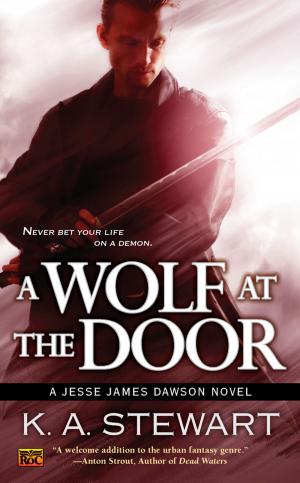 Cover of the book A Wolf at the Door by Leopoldine Core