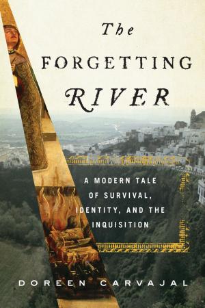Cover of the book The Forgetting River by James R. Hannibal