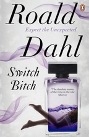 Book cover of Switch Bitch