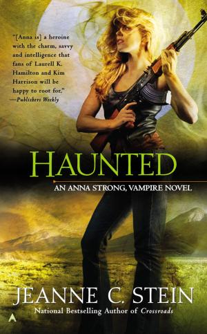 Cover of the book Haunted by Heather Blake