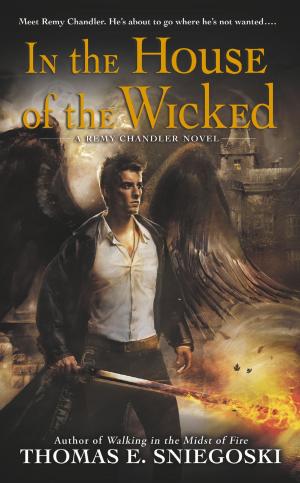 Cover of the book In the House of the Wicked by Debra Lynn Dadd