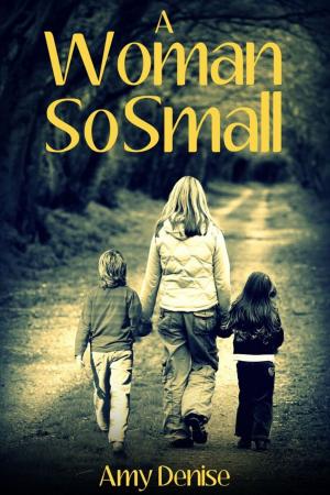 Cover of the book A Woman So Small by Emleigh Walsh