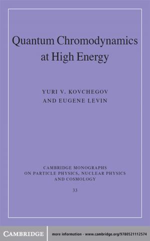 Cover of the book Quantum Chromodynamics at High Energy by Ann-Marie Einhaus