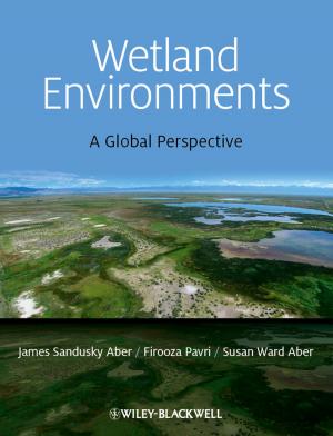 Cover of the book Wetland Environments by Mark Coates, B. D. Jenkins