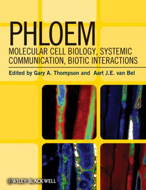 Cover of the book Phloem by R. Michael Akers, D. Michael Denbow