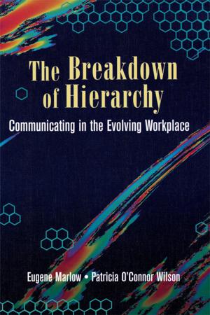 Cover of the book The Breakdown of Hierarchy by 