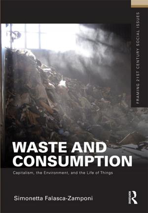 Cover of the book Waste and Consumption by Edward A. Keller, Duane E. DeVecchio