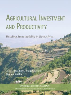 Cover of the book Agricultural Investment and Productivity by Matthew David