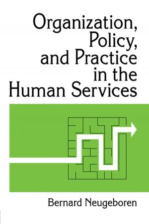 Cover of the book Organization, Policy, and Practice in the Human Services by Peter Maas Taubman