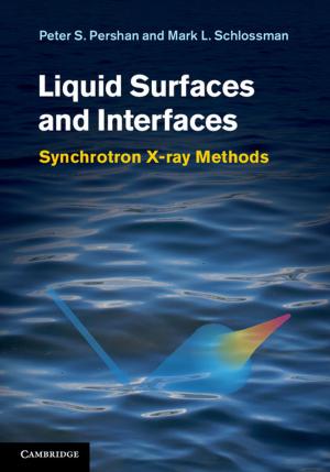 Cover of the book Liquid Surfaces and Interfaces by Jeffrey Paris, Alena Vencovská