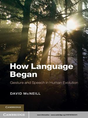 Cover of the book How Language Began by Walter M. X. Zimmer