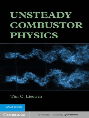 Cover of the book Unsteady Combustor Physics by James Raymond Vreeland