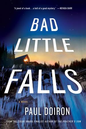 Cover of the book Bad Little Falls by Buddy Levy