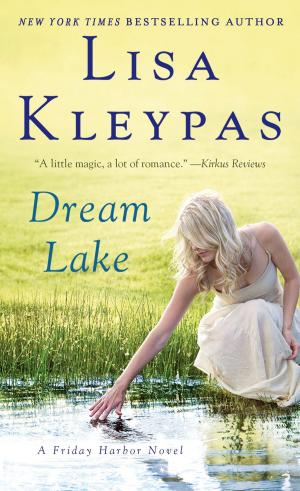 Cover of the book Dream Lake by Jennifer Crusie, Anne Stuart