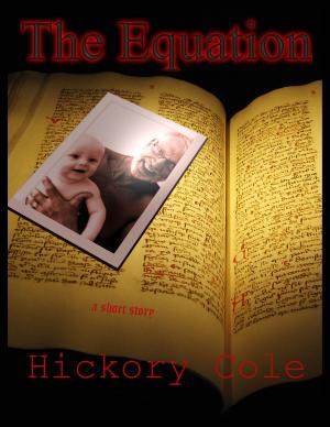 Cover of the book The Equation by Phillip Jackson